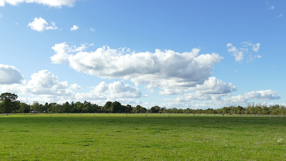 landscape, sky, clouds, green pasture, coupling, mood, trees, autumn, blue sky, clouds form