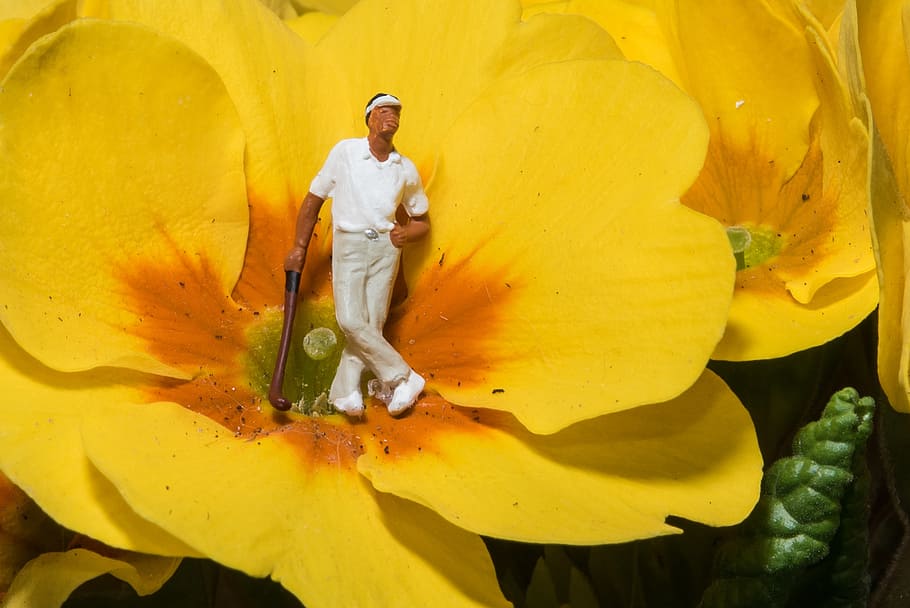 figura de golfe homem, miniatura, fotografia, golfe, flores, macro, fechar, figura, macro fotografia, liliput