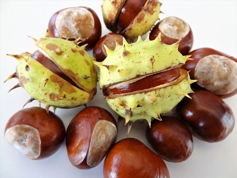 chestnuts, autumn, nature, fetus, fruits of autumn, food and drink, food, freshness, healthy eating, fruit