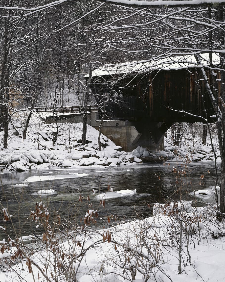 snow, covered bridge, landscape, scenic, stream, creek, wood, rural, trees, winter