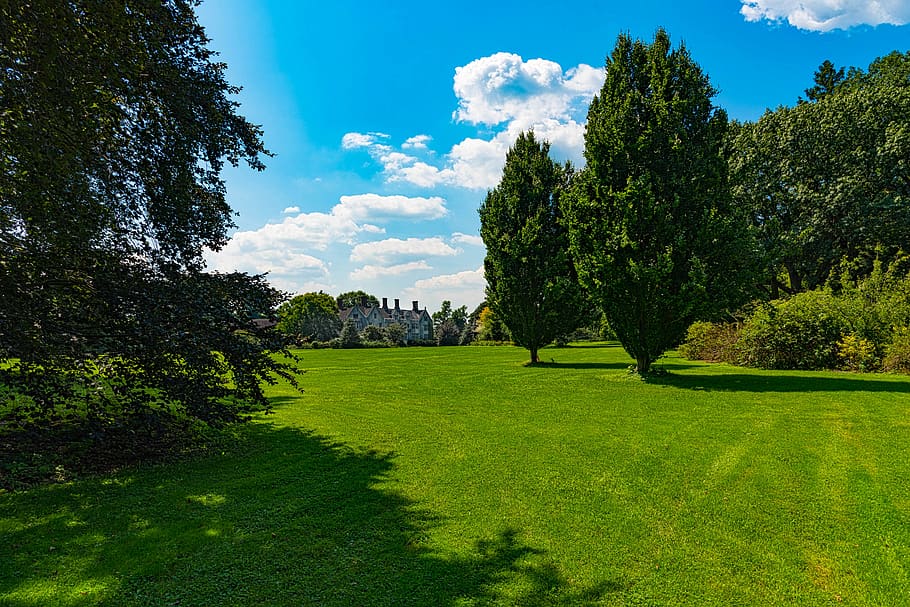 estate, open field, mansion, trees, blue sky, plant, tree, grass, green color, sky