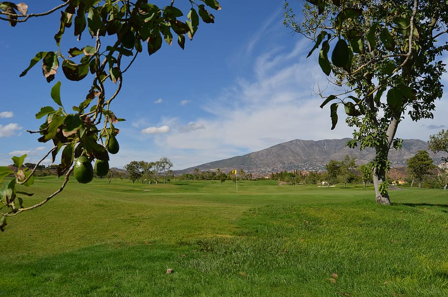 verde, aguacate, azul, cielo, durante el día, Golf, España, Santana, paisaje, árbol