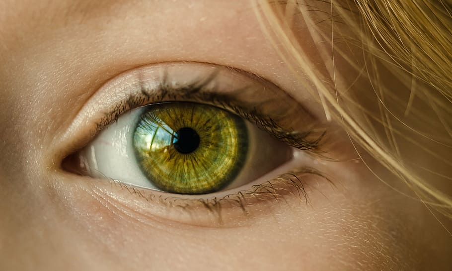 ojo amarillo humano, ojo, ojo verde, primer plano, macro, niña, joven, verde, cara, mujer