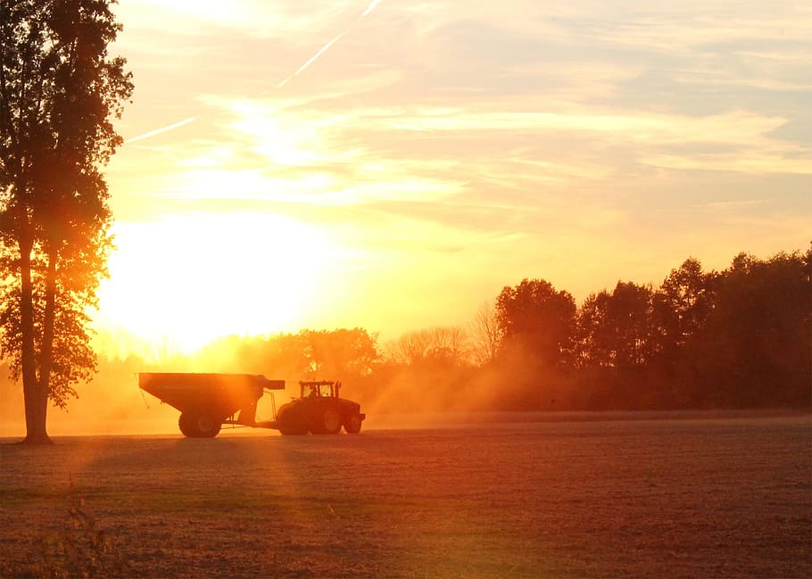 Harvester, Harvest, Farming, Soybean, sunset, agriculture, equipment, landscape, crop, farm