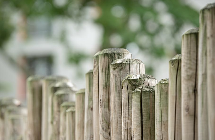 depth, field photography, bamboo, stick, fence, wood fence, wood, limit, demarcation, boards