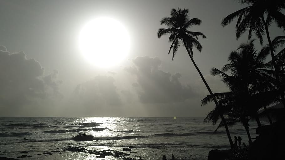 Fotografía de silueta, árboles, cuerpo, agua, playa, sol, mar Arábigo, mar, palmera, vacaciones