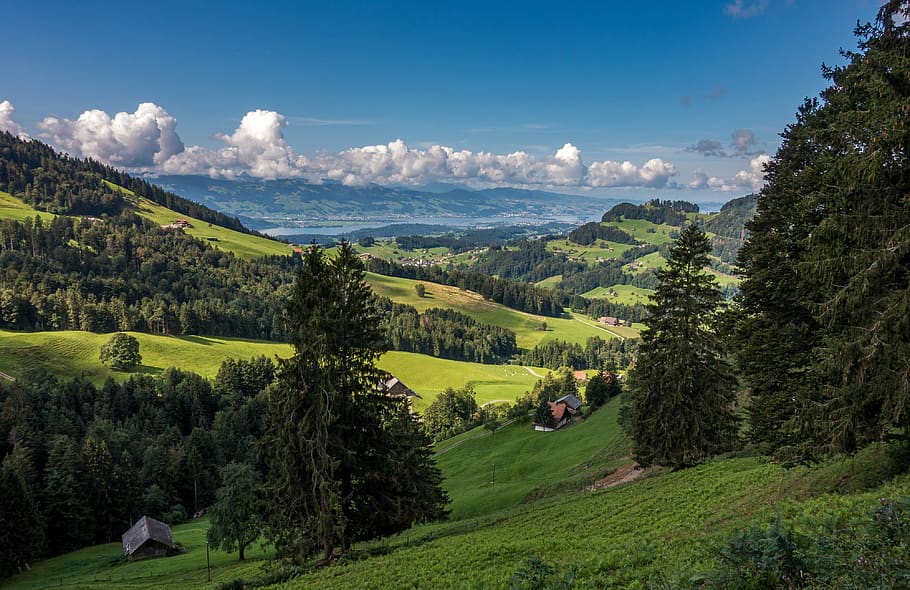 foothills of the alps, switzerland, nature, landscape, mountains, summer, panorama, hiking, central switzerland, view