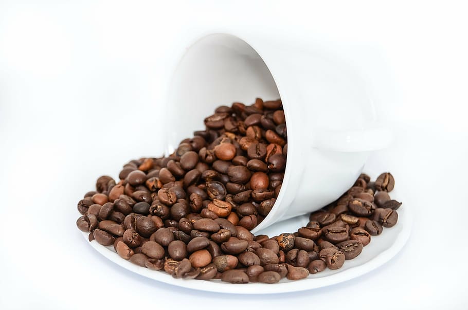 brown, coffee beans, white, ceramic, plate, coffee, the drink, caffeine, the brew, coffee maker