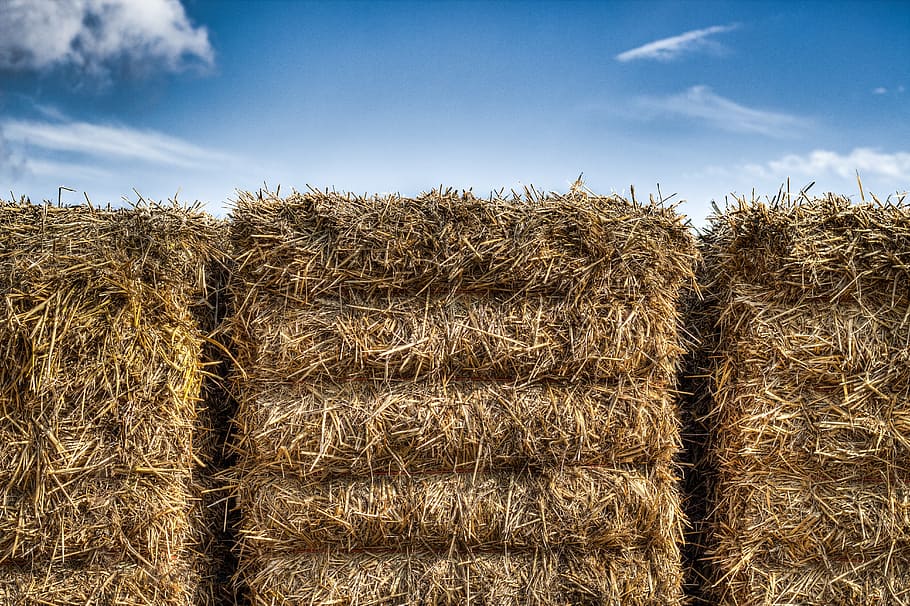 straw, packs of straw, heaven, hdr, bale, hay, agriculture, rural Scene, field, farm