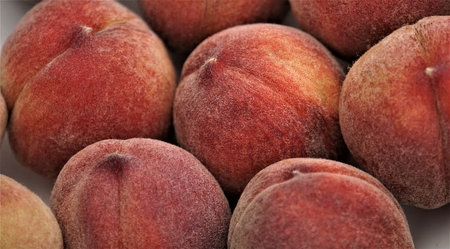 peaches, fruit, healthy, harvest, garden, summer, juicy, delicious, close up, background
