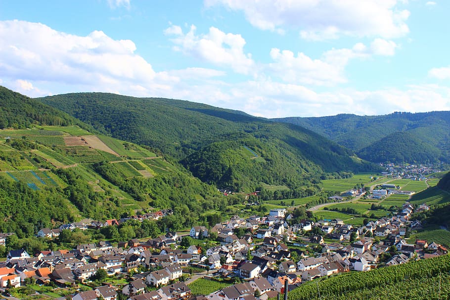 dernau, valle ahr, viñedos, vides, viticultura, vino, alemania, ruta de senderismo vino tinto, montañas, valle