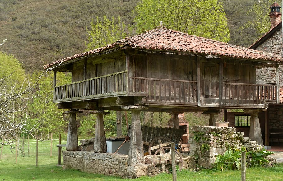 Granero, Campo, Asturias, España, arquitectura, escena rural, naturaleza, arquitectura y edificios, al aire libre, casa