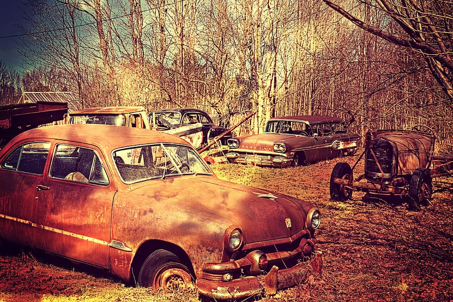 classic, brown, volkswagen beetles park, surrounded, bare, tress, daytime, retro look, shabby, vintage