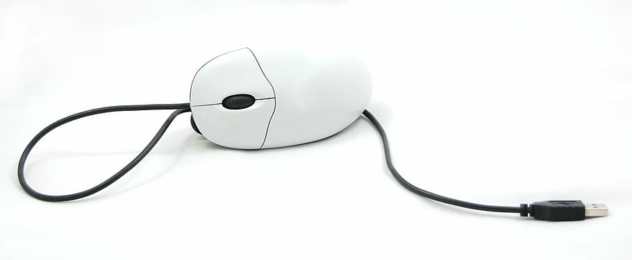 black, white, corded, mouse, computer, equipment, computers, components, technology, computer Mouse