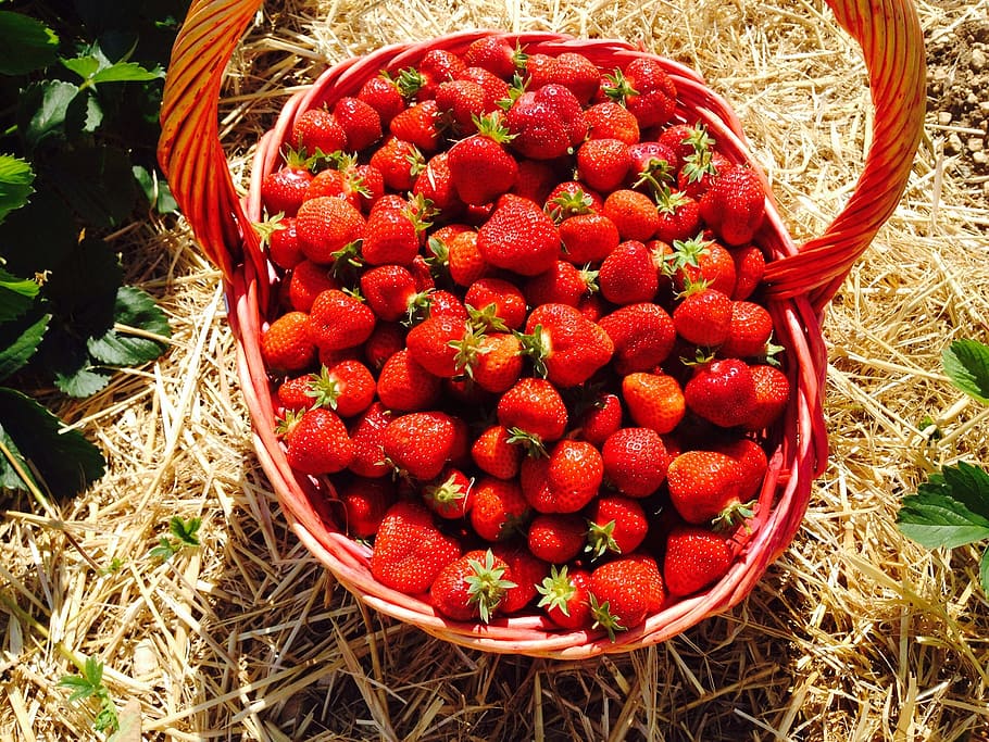 strawberries, red, fruits, basket, eat, jam, cook, berries, food, vitamin