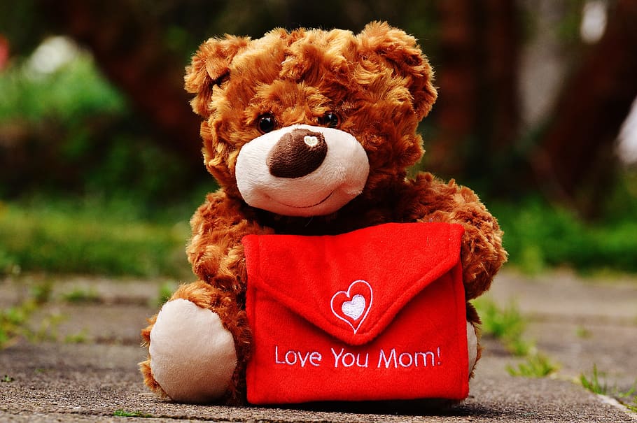 갈색, 테디, 곰, 빨간, 지갑, 어머니의 날, 애정, 엄마, 인사말 카드, 어머니