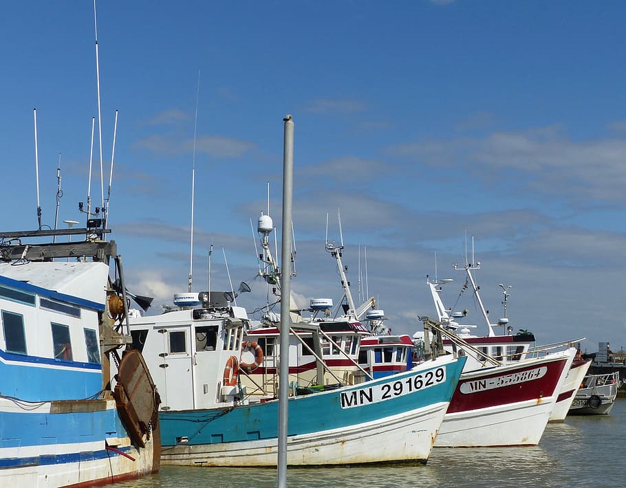 pelabuhan, memancing, pelabuhan perikanan, laut, perahu, perikanan tradisional, warna, pukat, prancis, langit