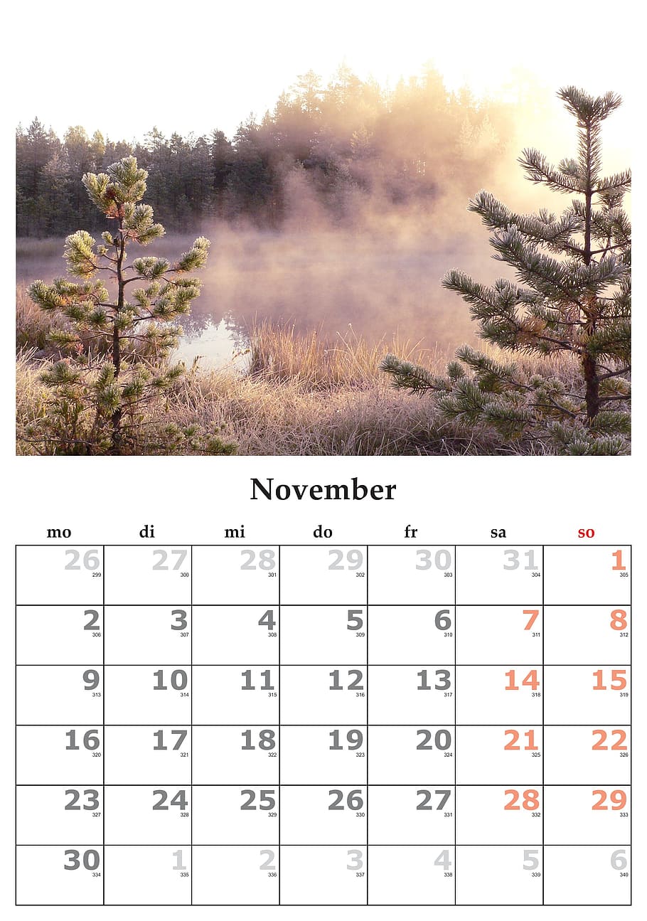 novevember calendar, wall, calendar, month, november, november 2015, tree, plant, number, nature