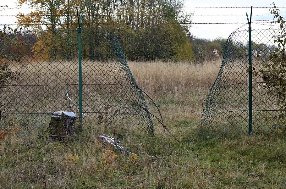 wire mesh fence, cut, open, barrier, demarcation, barbed wire, broken, military site, threatening, destroyed