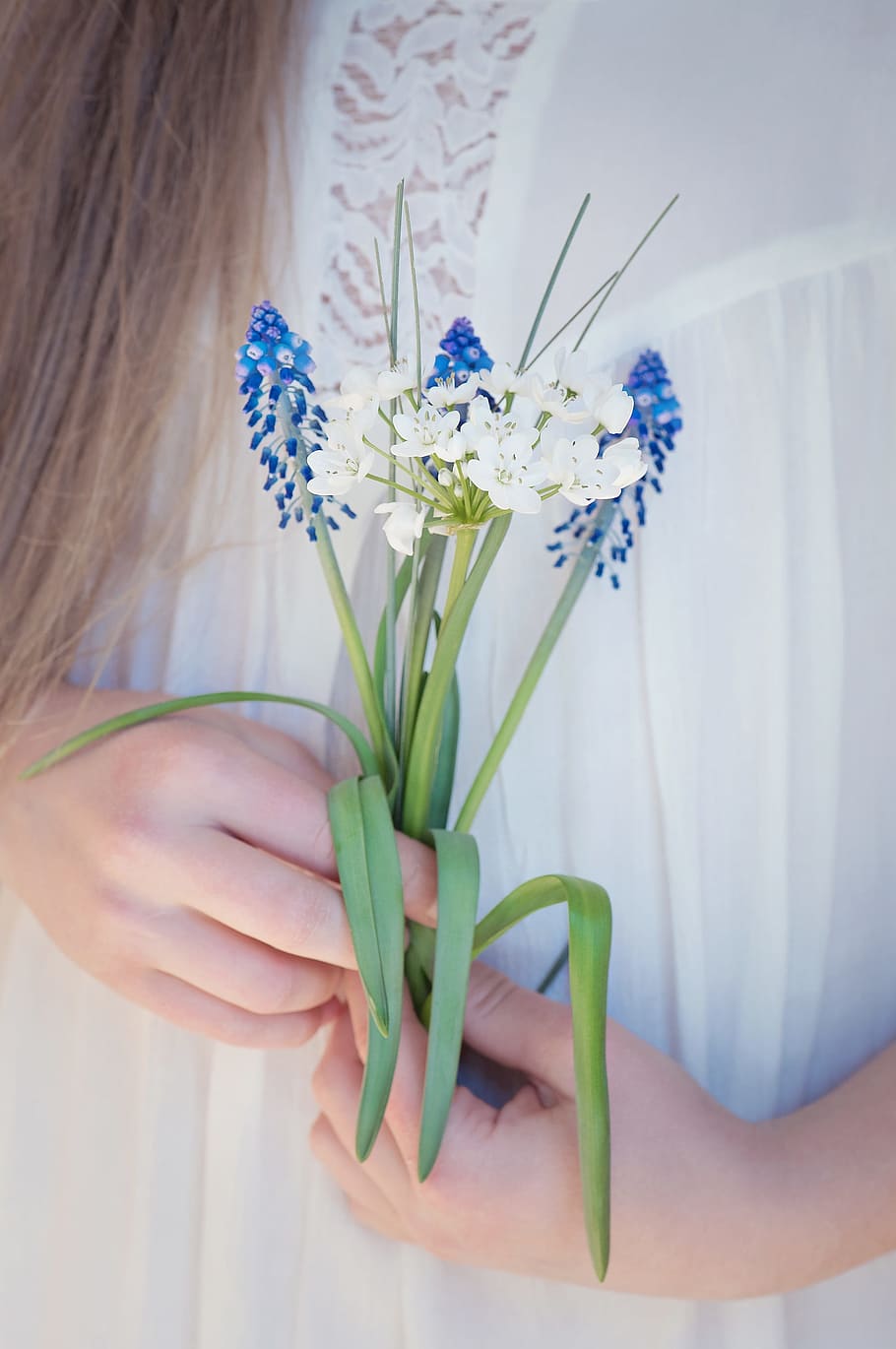 person, holding, grape hyacinth flower, white, cluster flower, Grape Hyacinth, Hyacinth flower, cluster, flowers, hyacinth
