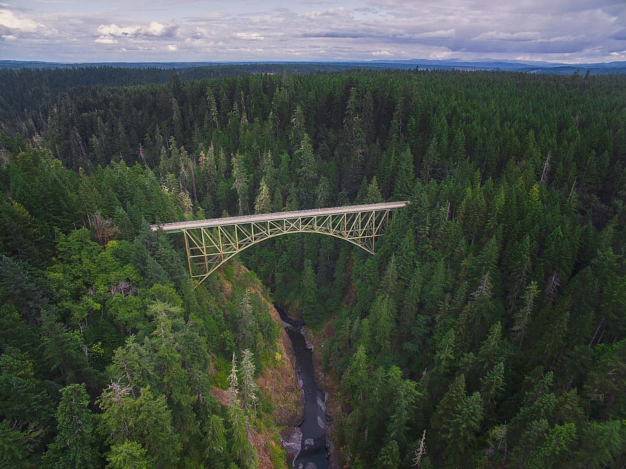 trees, forest, woods, nature, bridge, architecture, river, water, sky, clouds