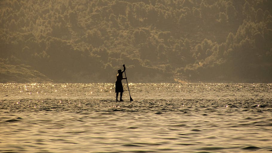Paddle Board, Mar, Luz del sol, verano, sombra, tarde, vacaciones, naturaleza, recreación, actividad