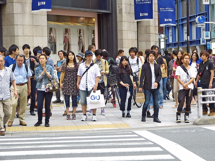 人, 立っている, 向いている, 歩行者, 車線, 建物, 日本, 東京, 新宿, 都市