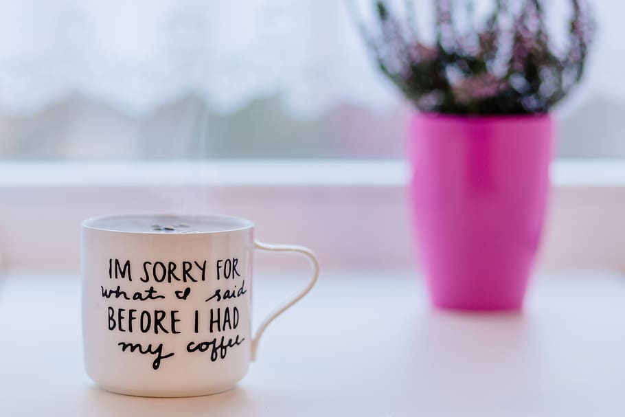 Coffee, apology, selective, focus, photography, ceramic, mug, vase, cup, text