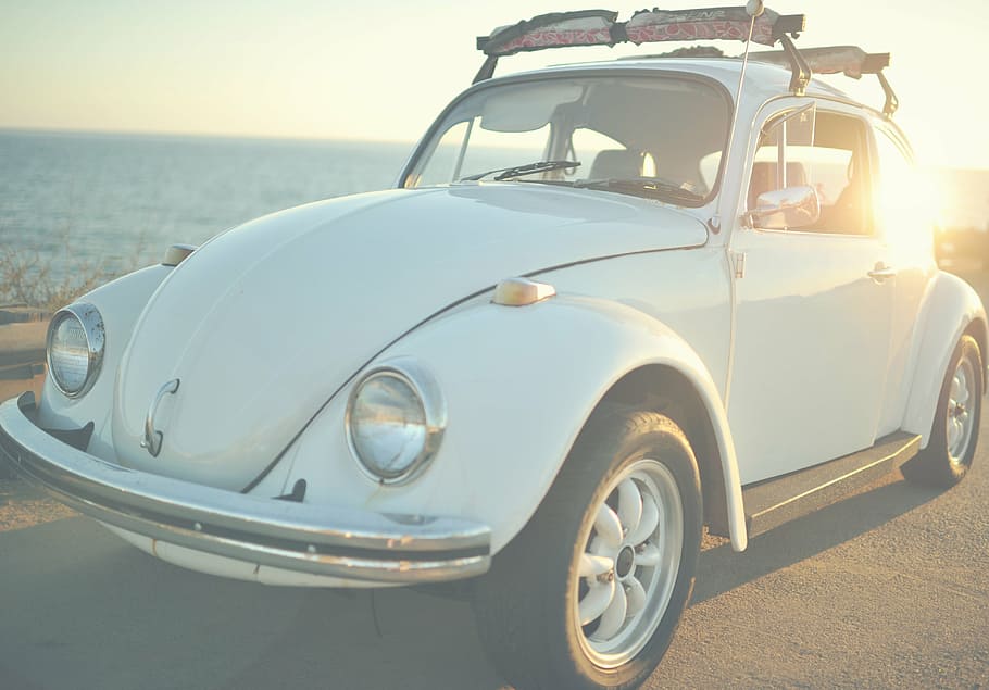 white, volkswagen beetle coupe park, body, water, daytime, car, vehicle, transportation, old, vintage