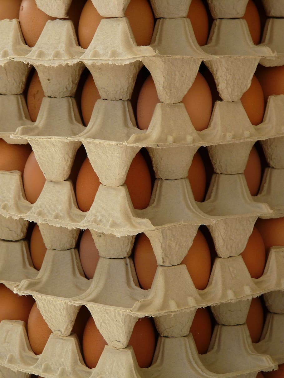 egg, egg box, food, backgrounds, brown, pattern, full frame, side by side, food and drink, freshness