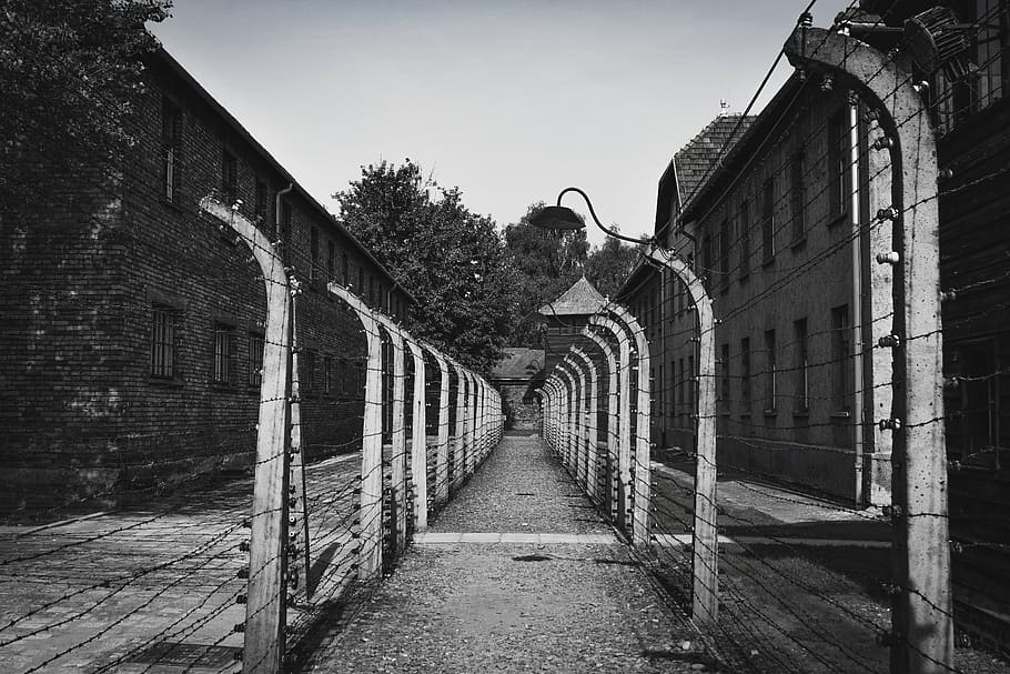 auschwitz, concentration camp, buildings, fences, horror, history, war, prison, nazism, death