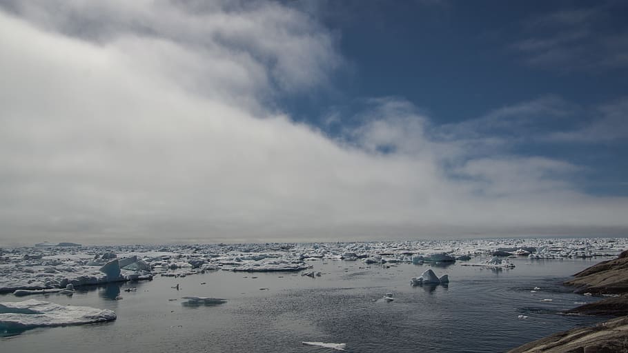 hielo a la deriva, iceberg, costa, congelado, mar, blanco, interminable, desierto, hielo, paisaje