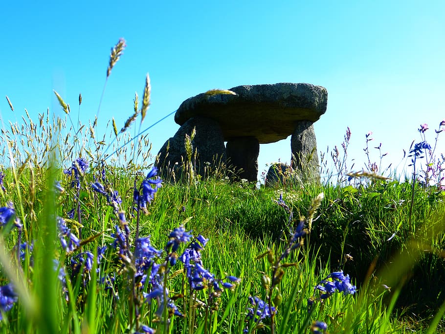 lanyon quoit, quoit giant's, giant's table, cornwall, south gland, dolmen, megalithic monuments, megaliths, plant, growth