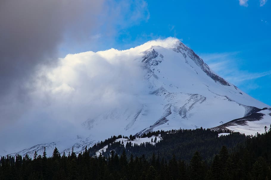 mountain, covered, snow, blue, sky, landscape, peak, summit, trees, pines