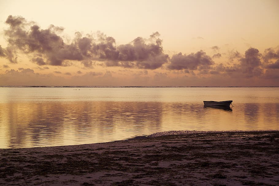 tanzânia, zanzibar, áfrica, amanhecer, barco, barco de madeira, praia, areia, mar, praia de areia