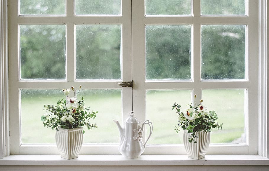 white, wooden, framed, glass window, plants, window, glass, shield, frame, flower