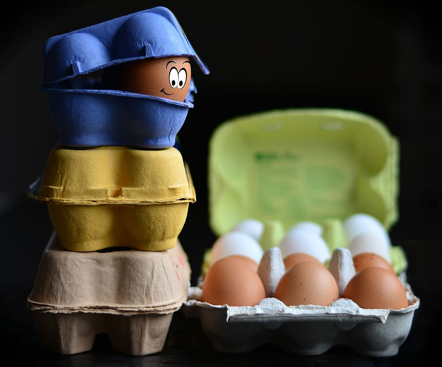 três, azul, amarelo, marrom, aves domésticas, fotografia de ovos, caixas de ovos, ovo, caixa de ovos, embalagem de ovos