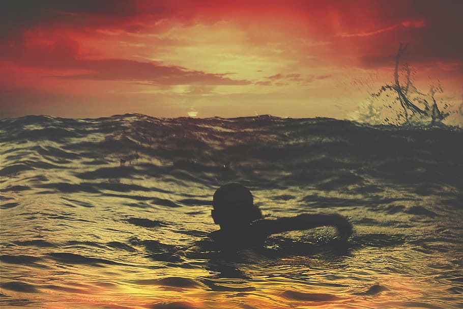 foto de silhueta, Garoto, natação, corpo, agua, pessoa, pessoas, criança, mar, oceano