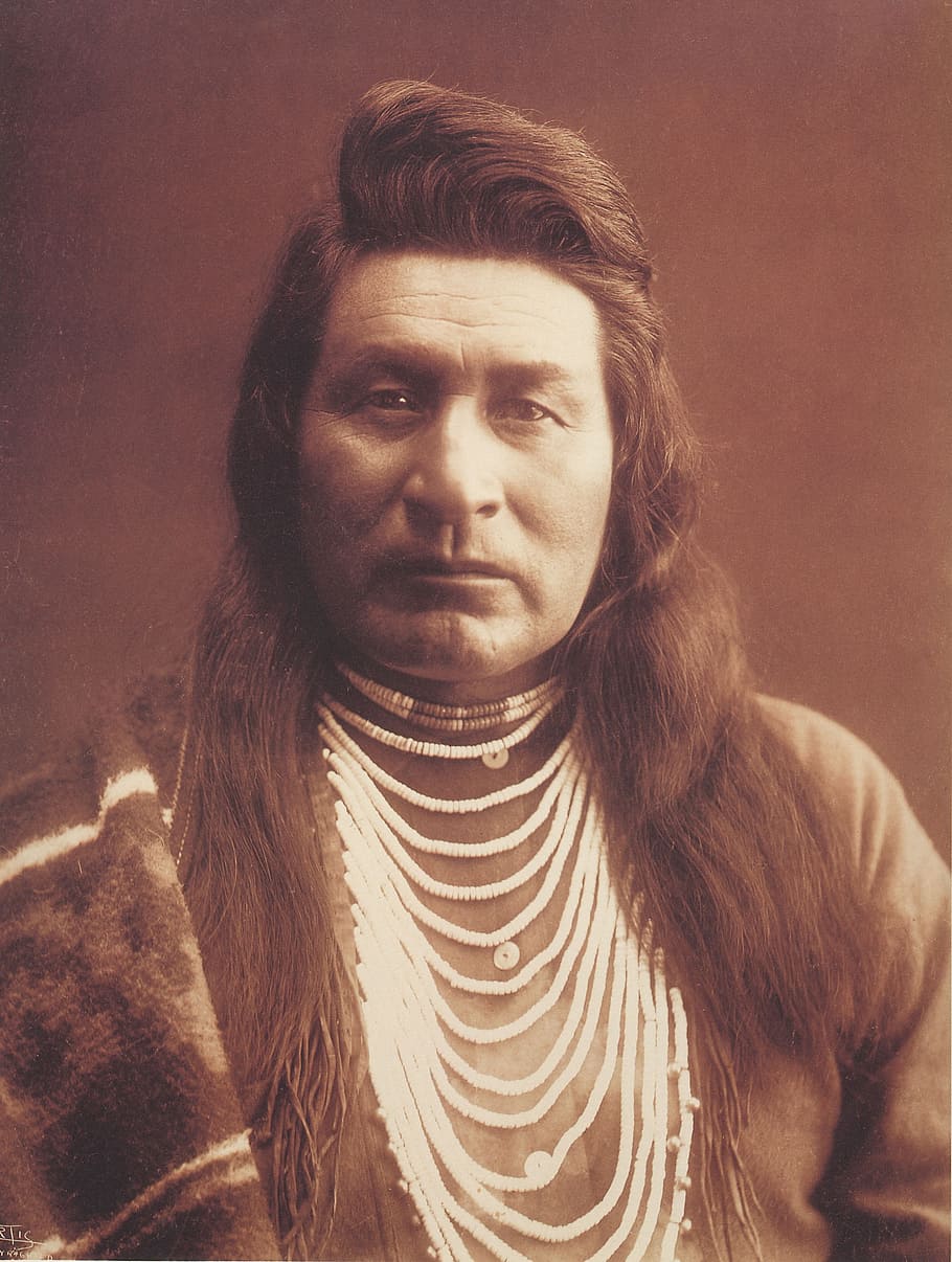 Ilustración, hombre, sepia, escala, retrato, nativo americano, indio, 1899, vestimenta nativa, artes visuales