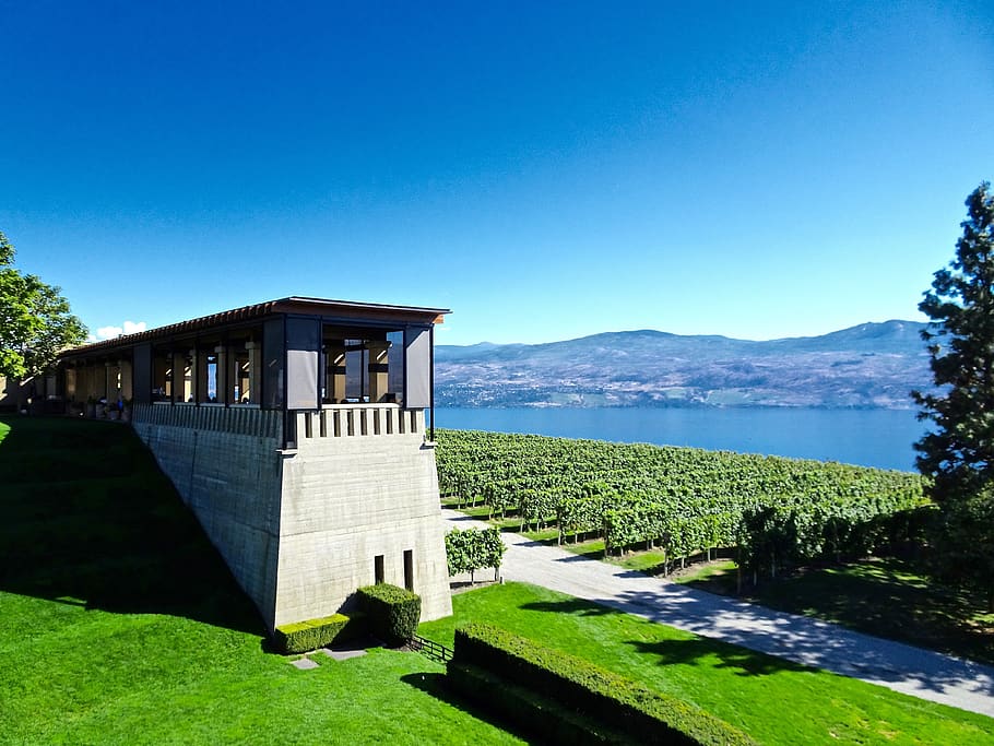 restaurant, view, outlook, cafe, kelowna, canada, architecture, sky, built structure, plant