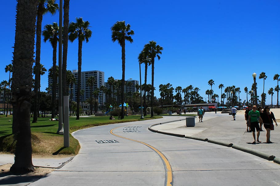 people, walking, concrete, pavement, santa monica, california, road, cycle track, palms, beach