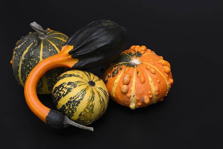 assorted, vegetables, black, background, pumpkin, gourd, autumn, thanksgiving, decoration, harvest
