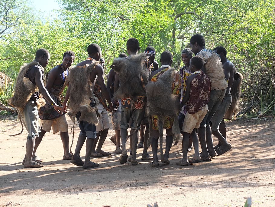 tribe, hazabe, tanzania, group of people, tree, real people, group of animals, day, crowd, vertebrate
