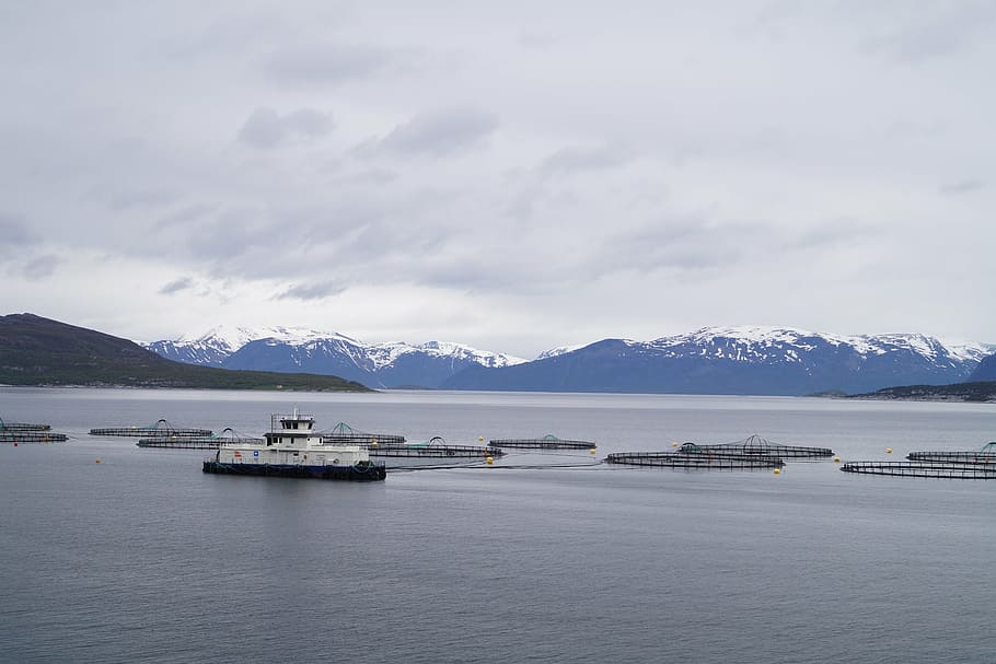 norway, salmon farming, norwegian sea, mountain, water, sea, sky, nautical vessel, transportation, cloud - sky