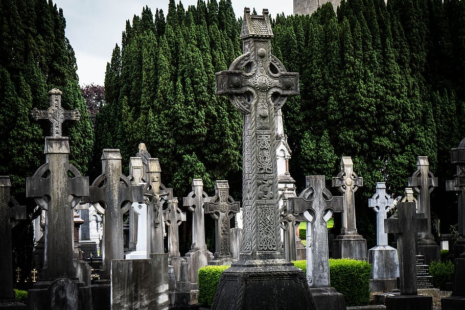 graveyard, front, green, trees, glasnevin, dublin, ireland, cemetery, cross, celtic