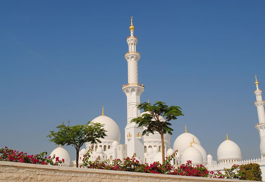 low-angle photography, dome mosque, abu dhabi, white mosque, sheikh zayid mosque, islam, arabic, orient, mosque, minaret