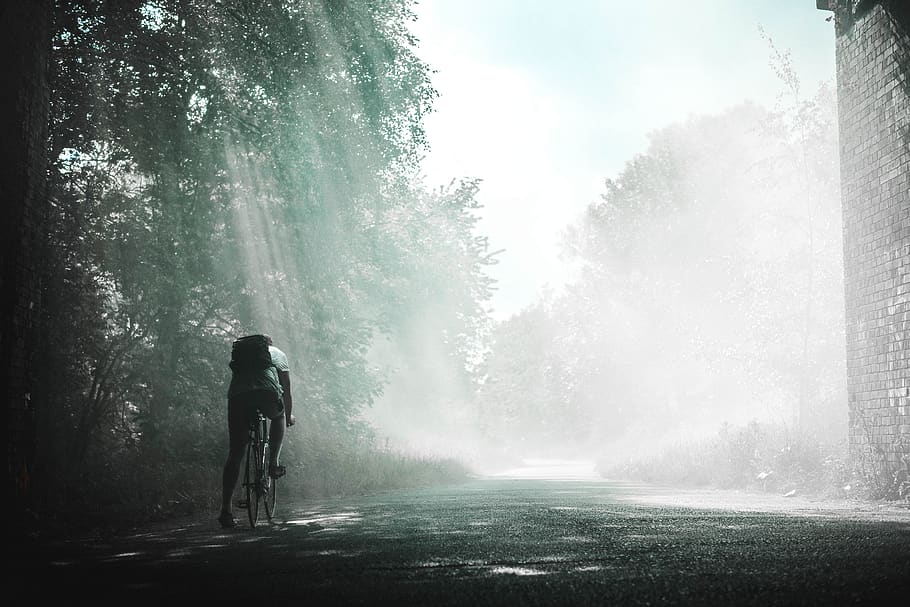guy, man, male, people, cycling, bicycle, road, path, trees, sun