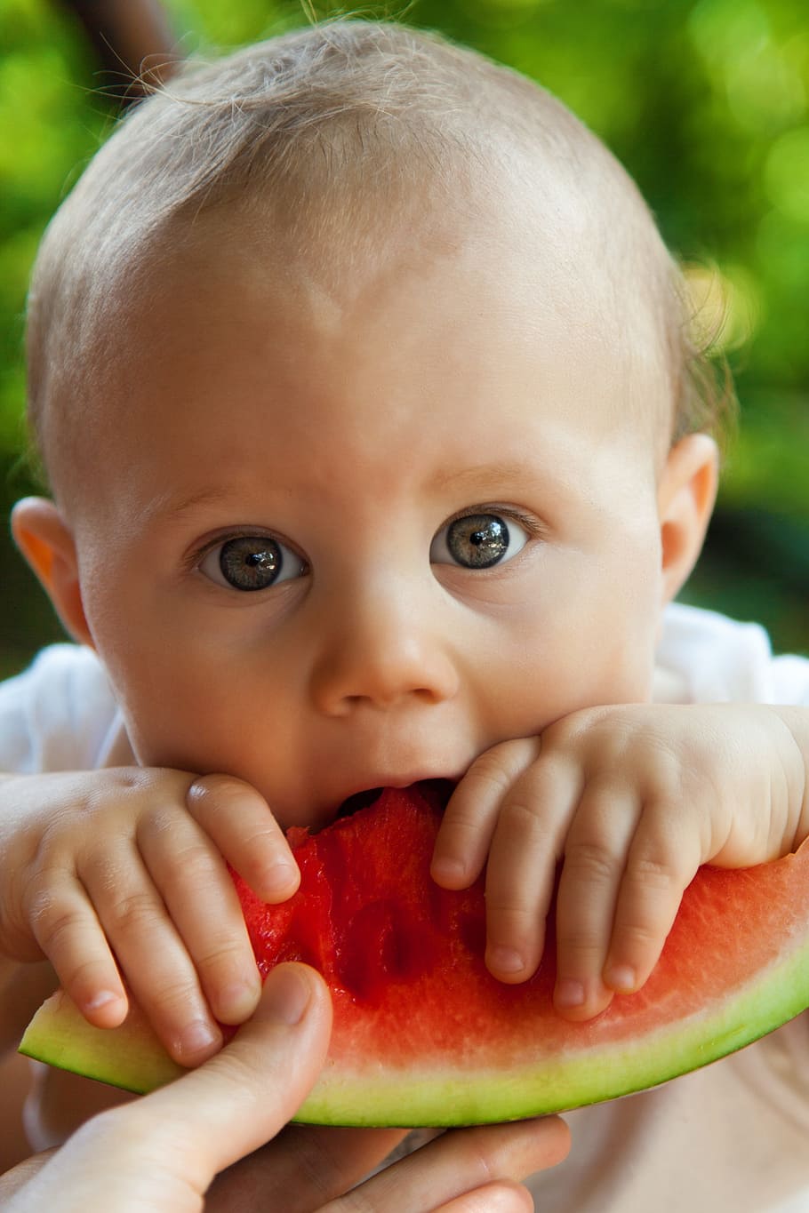 bayi makan semangka, bayi, gigitan, anak laki-laki, anak, imut, makan, makanan, buah, kesenangan