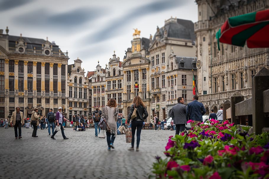 たくさんの人々マルクト広場, 路地, ブリュッセル通り, 花, ブリュッセルの路地, 散歩, ブリュッセルの人々, 建物外観, 人々のグループ, 建築