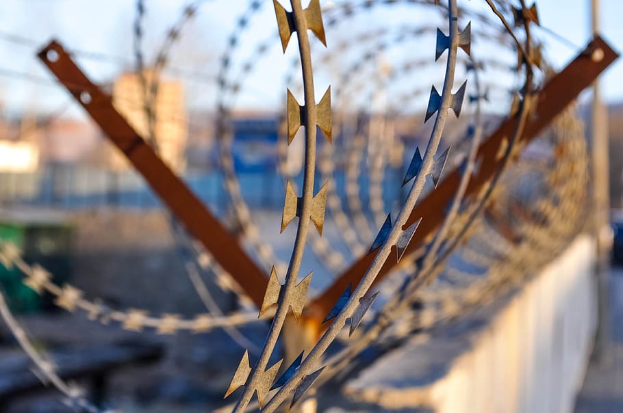 close, barbwires, barbwire, barbed wire, security, sharp, barrier, metal, border, iron